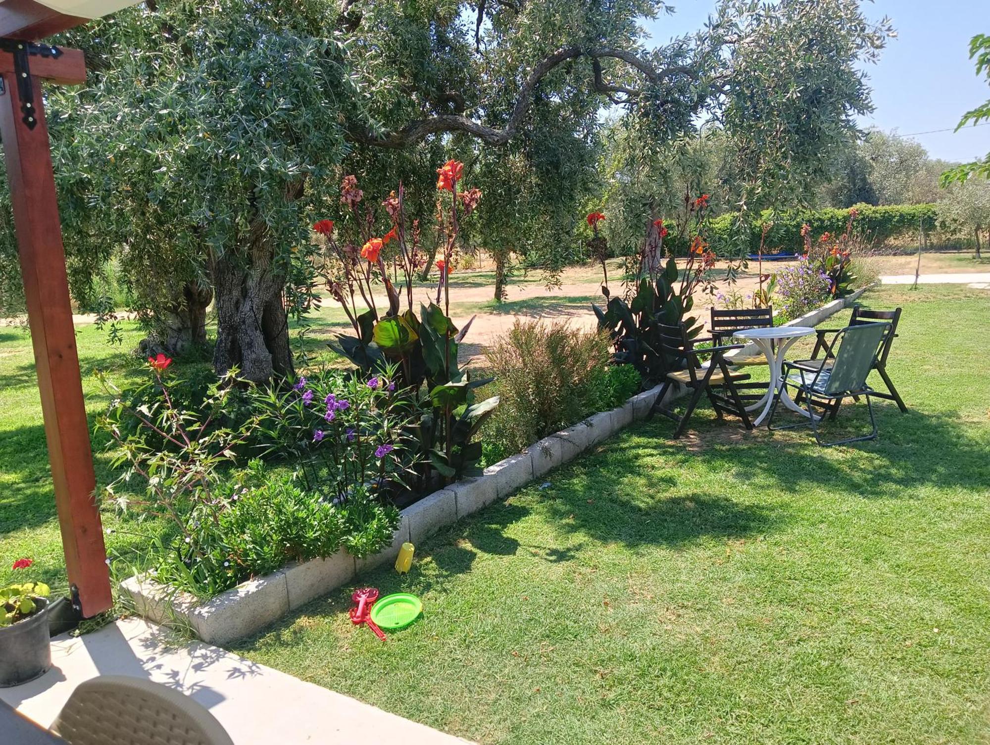 Anatoli Studios Skala Rachoni  Exterior foto